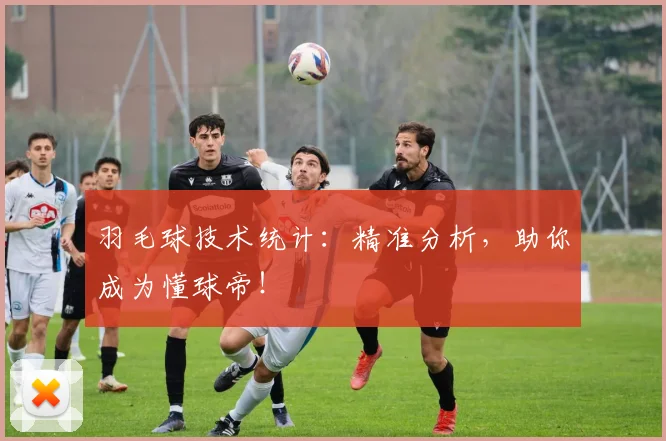 羽毛球技术统计：精准分析，助你成为懂球帝！
